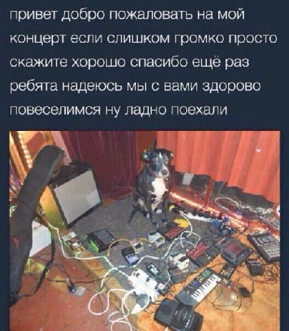 привет добро пожаловать на мой концерт если слишком громко просто скажите хорошо спасибо ещё раз ребята надеюсь мы с вами здорово повеселимся ну ладно поехали У