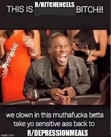 THIS we clown in this muthafucka betta take sensitive ass back to R/DEPRESSIONMEALS