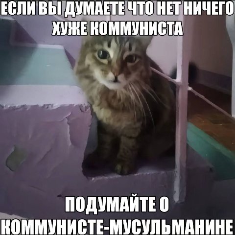 ЕСЛИ ВЫ ДУМАЕТЕМТО НЕЦНИЧЕГО КОММУНИСТА 0 КОММУНИСТЕ-МУСУЛЬМАНИНЕ