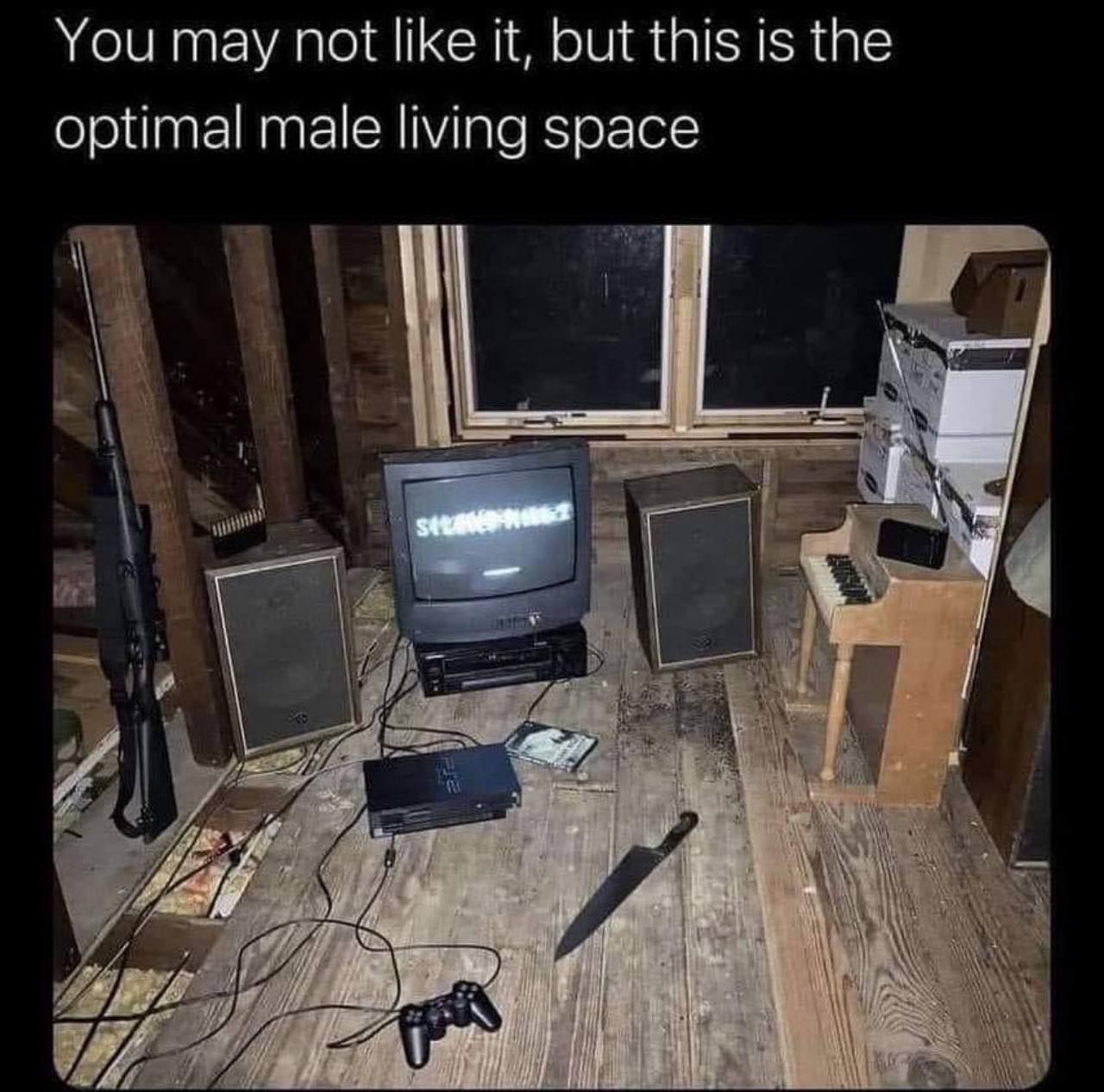 You may not like it, but this is the optimal male living space и 4