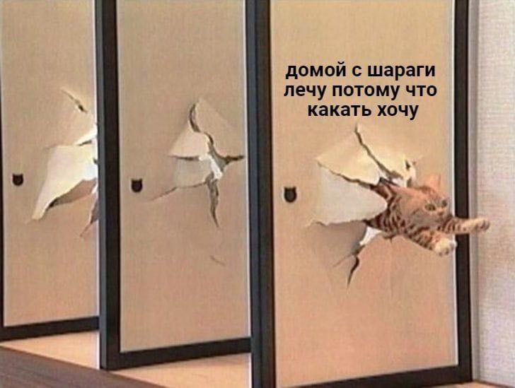 домой с шараги лечу потому что какать хочу 9