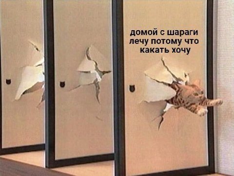 домой с шараги лечу потому что какать хочу 9