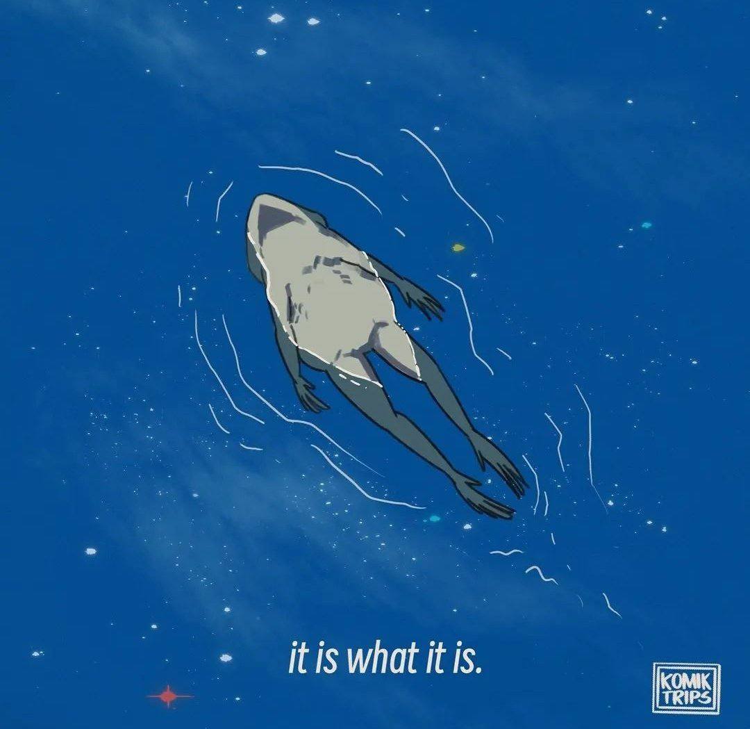 it is what it is.