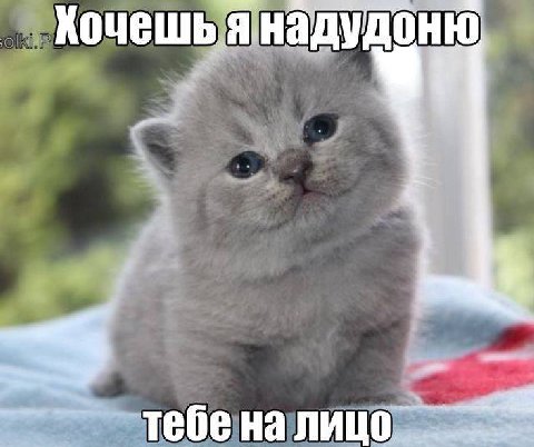 удоню Кочешь янад тебе на лицо