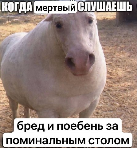 КОГДА СЛУШАЕШЬ бред и поебень за поминальным столом
