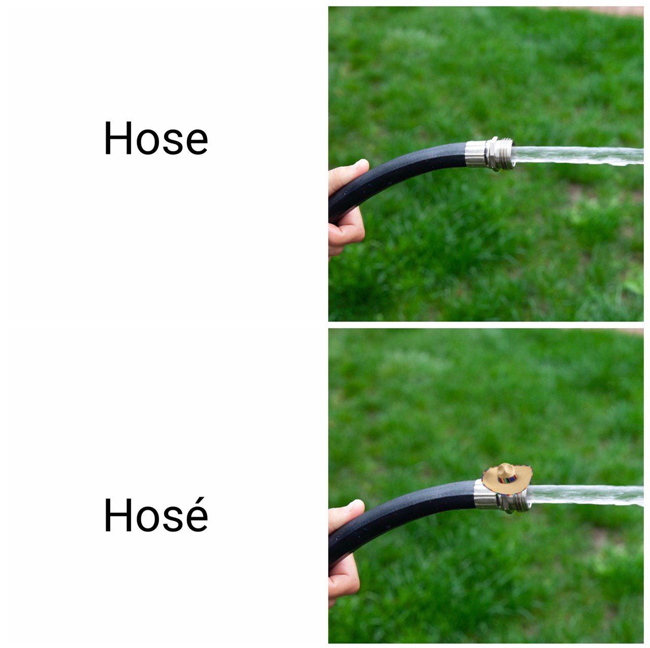 Hose Hose