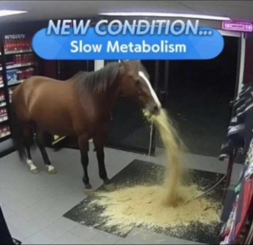 Slow Metabolism