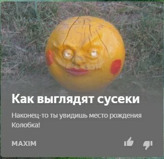 Как выглядят сусеки Наконец-то ты увидишь место рождения Колобка! MAXIM