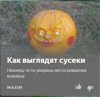 Как выглядят сусеки Наконец-то ты увидишь место рождения Колобка! MAXIM