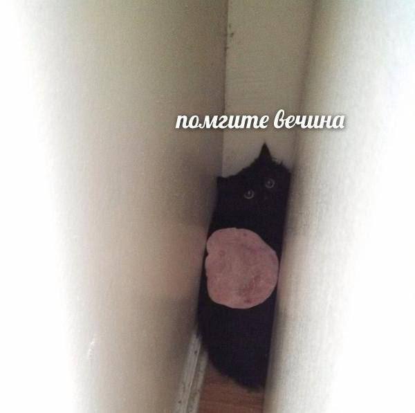 помгите