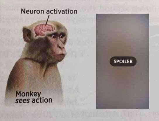 Neuron activation SPOILER action