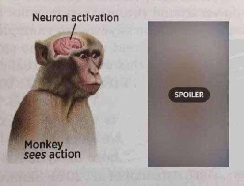 Neuron activation SPOILER action