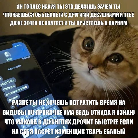 ТОПЛЕС НАХУЯ ТЫ! ЭТО ДЕЛАЕШЬ ЗАЧЕМ ТЫ ЧПОКАЕШЬСЯ ОБЪЕБАНЫЙ С ДРУГИМИ ДЕВУШКАМИ И ТЕБЕ ДАЖЕ ЭТОГО НЕ ХВАТАЕТ И Thi ПРИСТАЕШЬ В ПАРНЯМ *PASBE НЕХОЧЕШЬ ПОТРАТИТЬ ВРЕМЯ ВИДОСЫ ПОЧТРОНАЧКЕ УМА ВЕДЬ ОТКУДА 