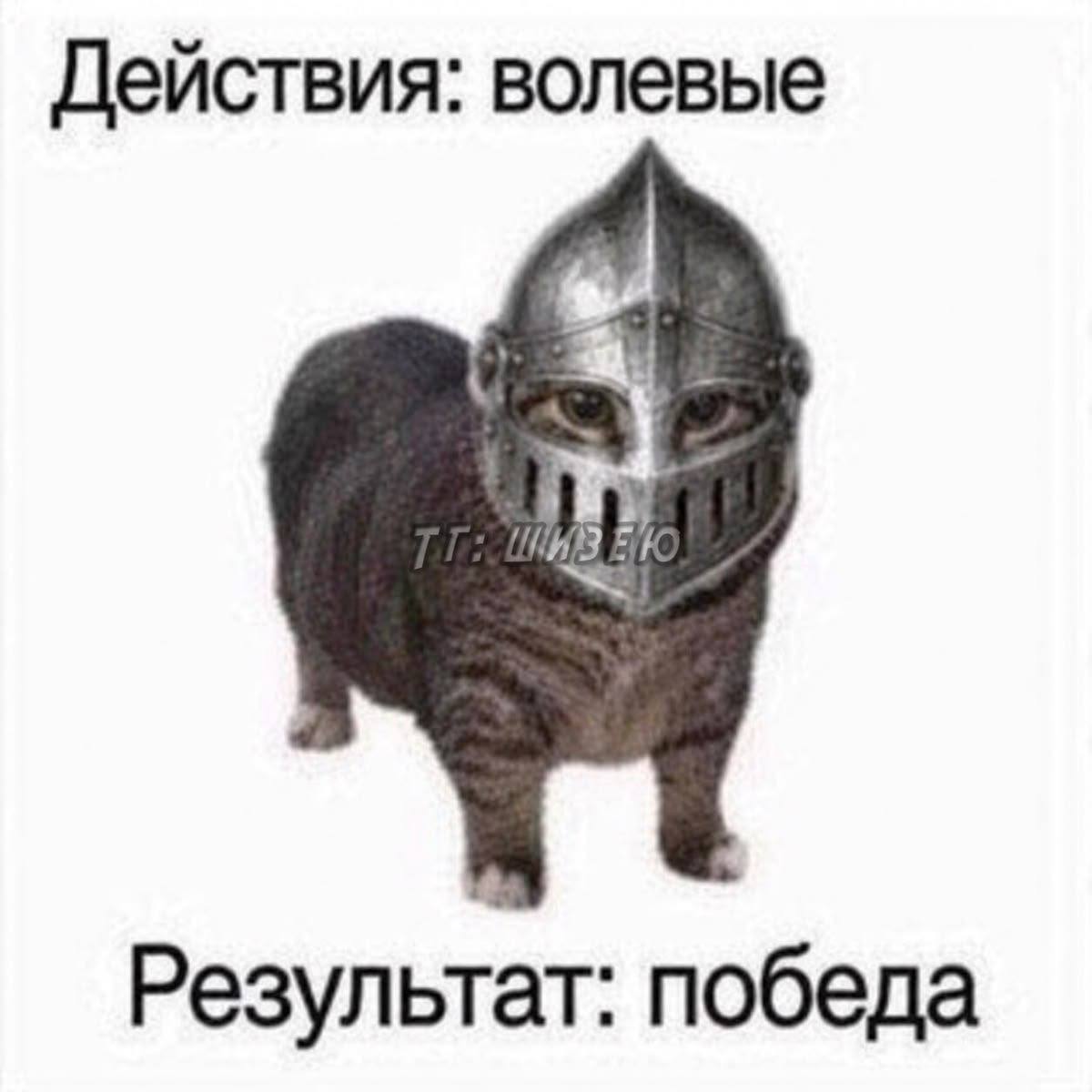 Действия: волевые Результат: победа