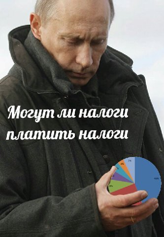 Могут ли налоги платить налоги