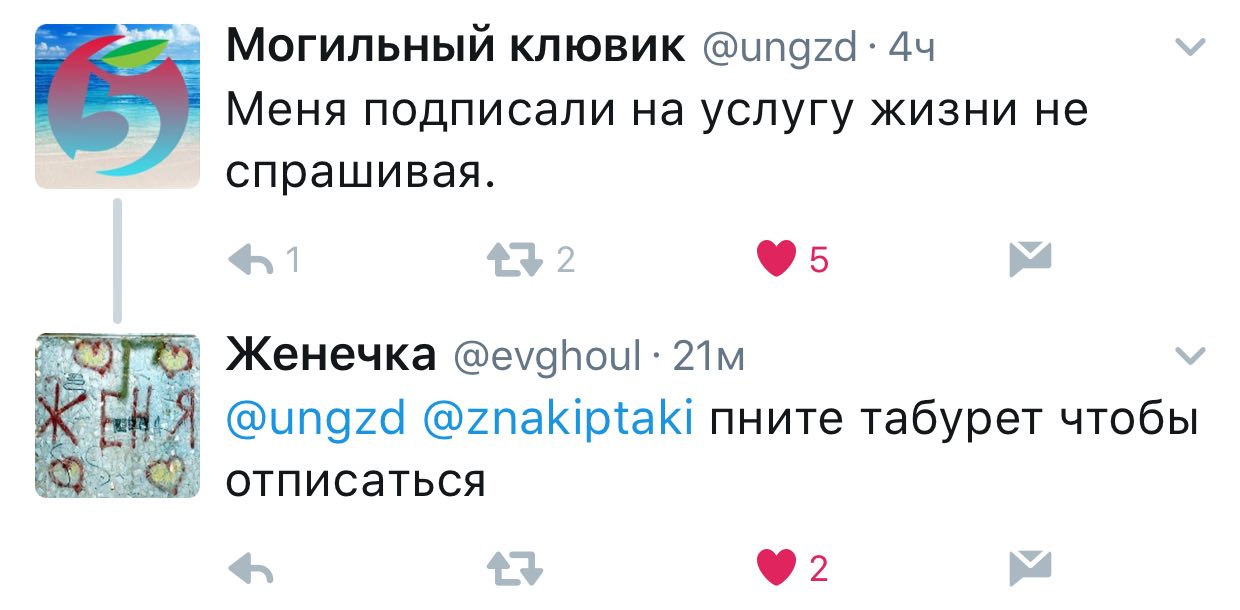 Могильный клювик Меня подписали на услугу жизни не спрашивая. Женечка A @ungzd @znakiptaki пните табурет чтобы отписаться