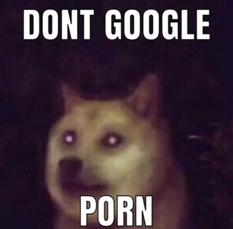 DONT GOOGLE PORN