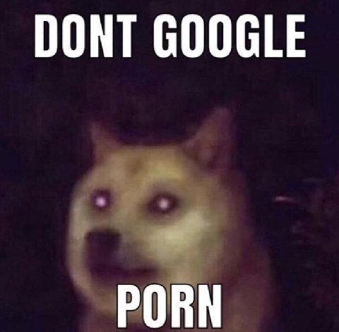 DONT GOOGLE PORN