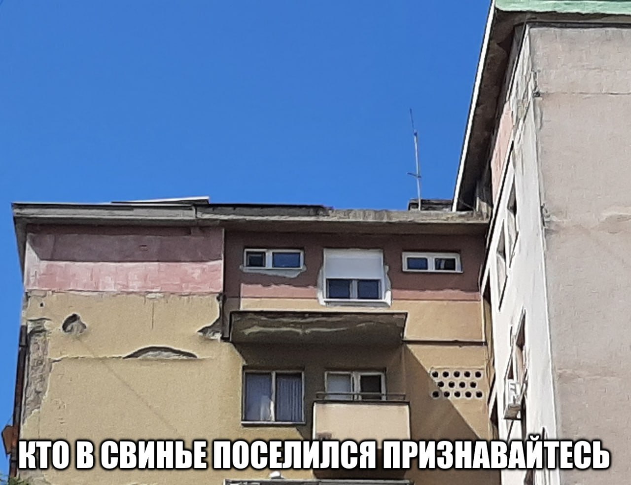 i —4 КТО В СВИНЬЕ ПОСЕЛИЛСЯ ПРИЗНАВАЙТЕСЬ