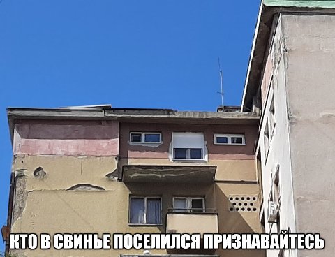 i —4 КТО В СВИНЬЕ ПОСЕЛИЛСЯ ПРИЗНАВАЙТЕСЬ