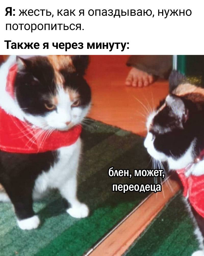 Я: жесть, как я опаздываю, нужно поторопиться. Также я через минуту: блен, может, переодеца\ реод ual 4
