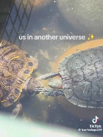 us in.another universe