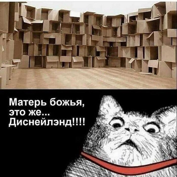 4 Матерь божья, это же... Диснейлэнд!!!!