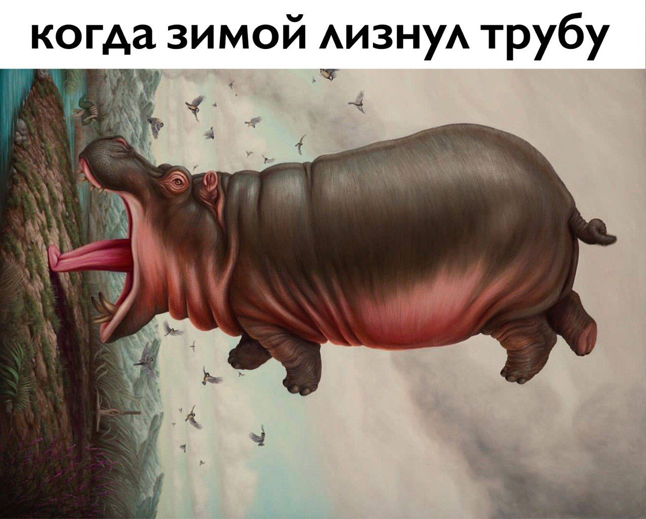 когда зимой лизнул трубу