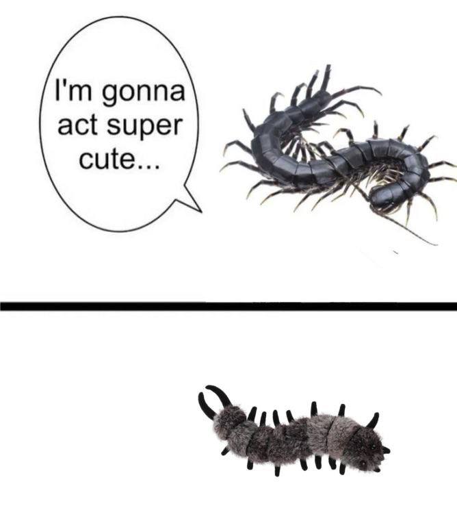 gonna act super cute...