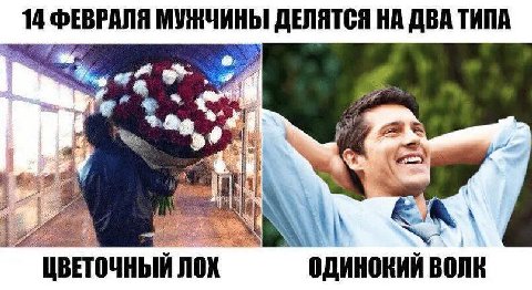 14 ФЕВРАЛЯ МУЖЧИНЫ ДЕЛЯТСЯ НА ДВА ТИПА Wie he К. "ЦВЕТОЧНЫЙ ЛОХ ДИНОКИЙ ВОЛК
