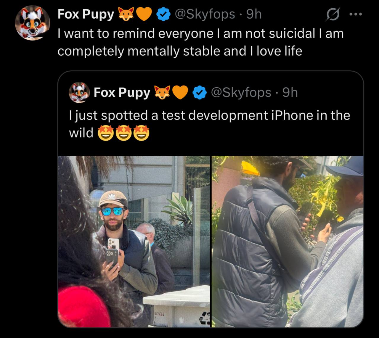 Fox Pupy 3 want to remind еуегуопе not suicidal completely mentally stable and love life Fox Pupy [just spotted a test development iPhone in the wild wil Я a