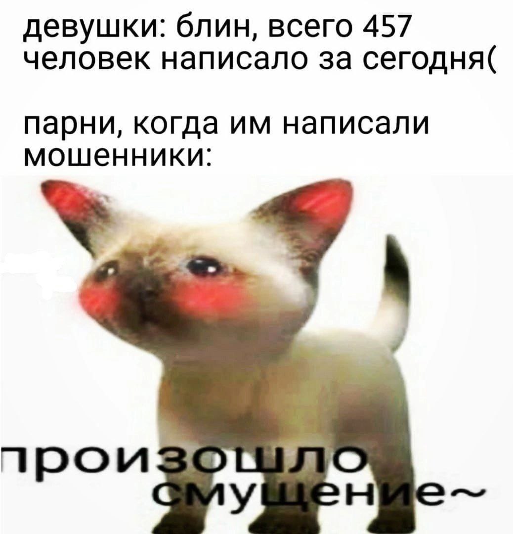 девушки: блин, всего 457 человек написало за сегодня( парни, когда написали мошенники: У