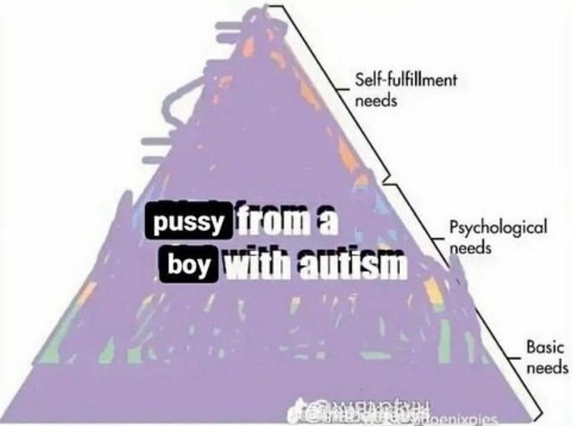 Self-fulfillment Psychological boy ith autism Basic needs