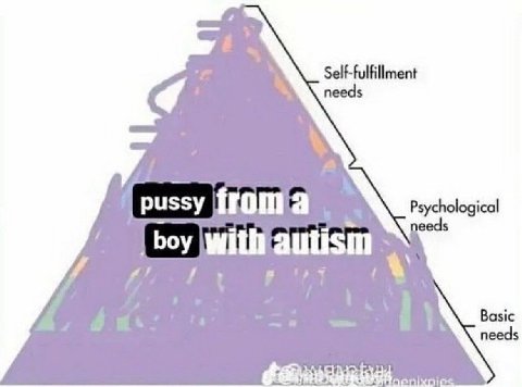 Self-fulfillment Psychological boy ith autism Basic needs
