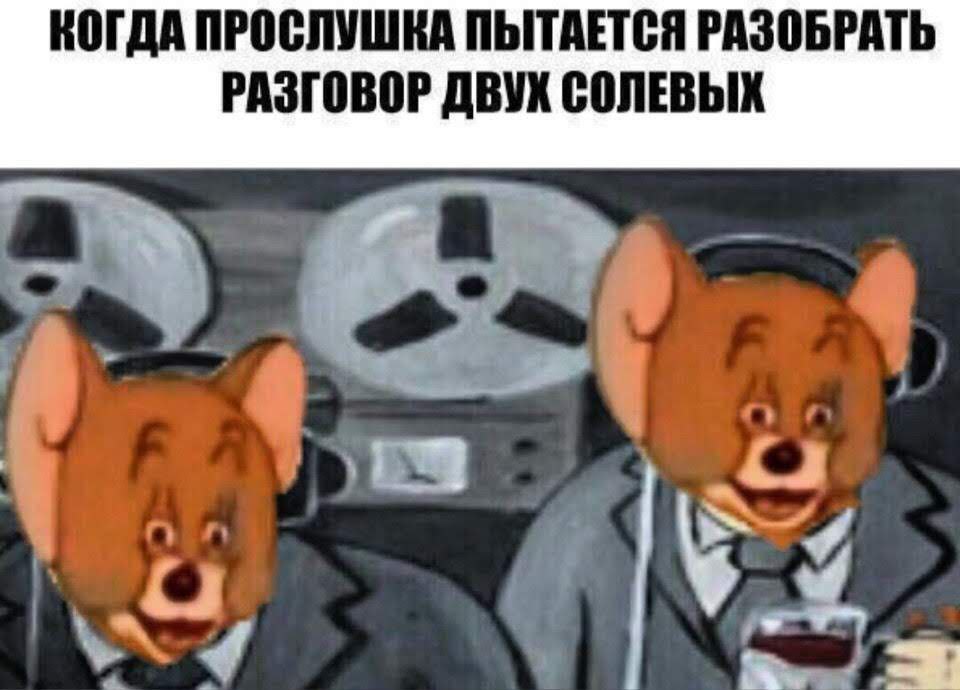 КОГДА ПРОСЛУШКА ПЫТАЕТСЯ РАЗОБРАТЬ РАЗГОВОР ДВУХ СОЛЕВЫХ у
