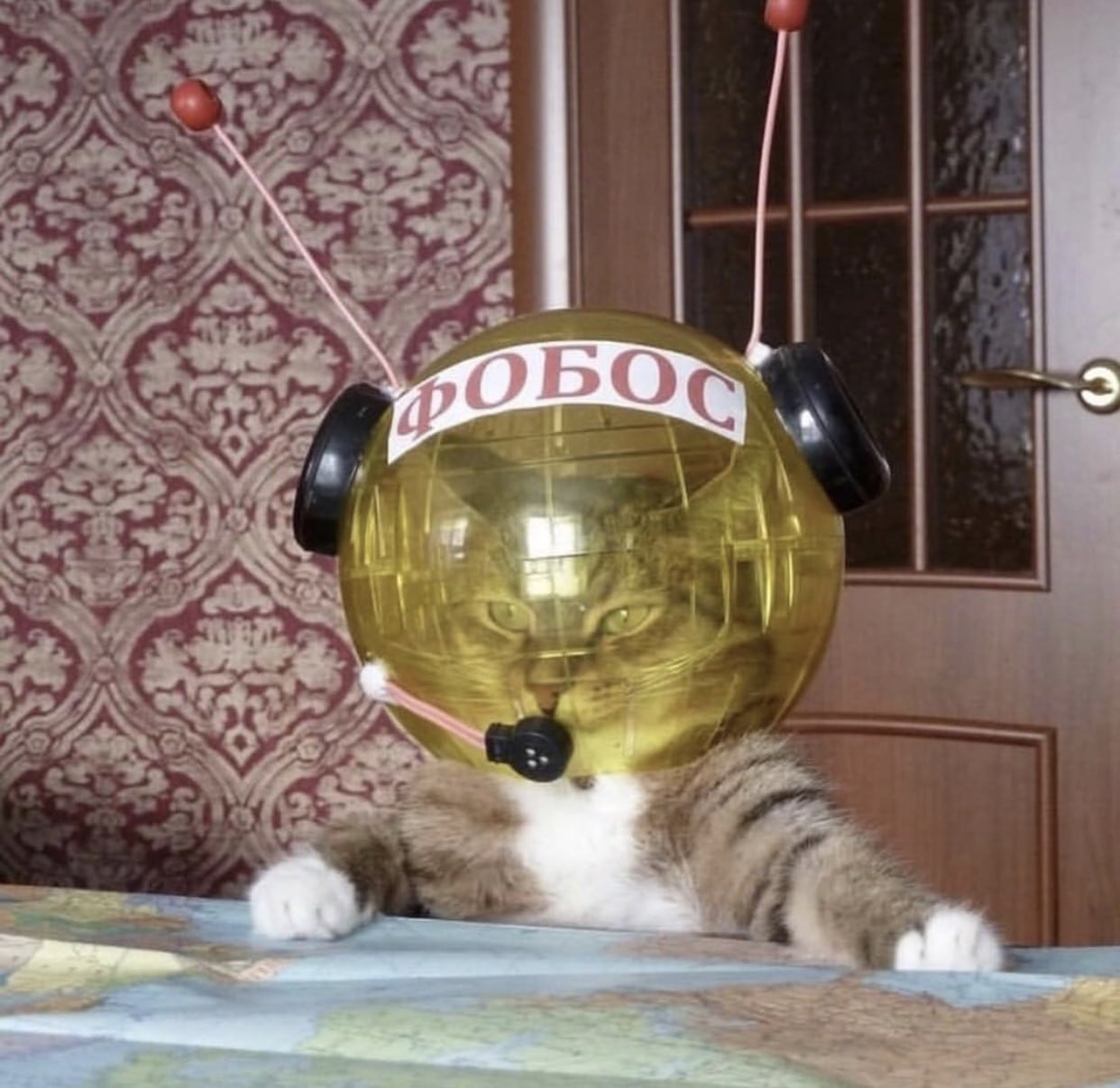 ОБО