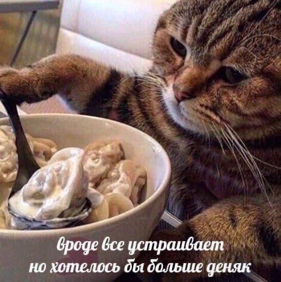 4 броде все устраивает но хотелось больше деняк