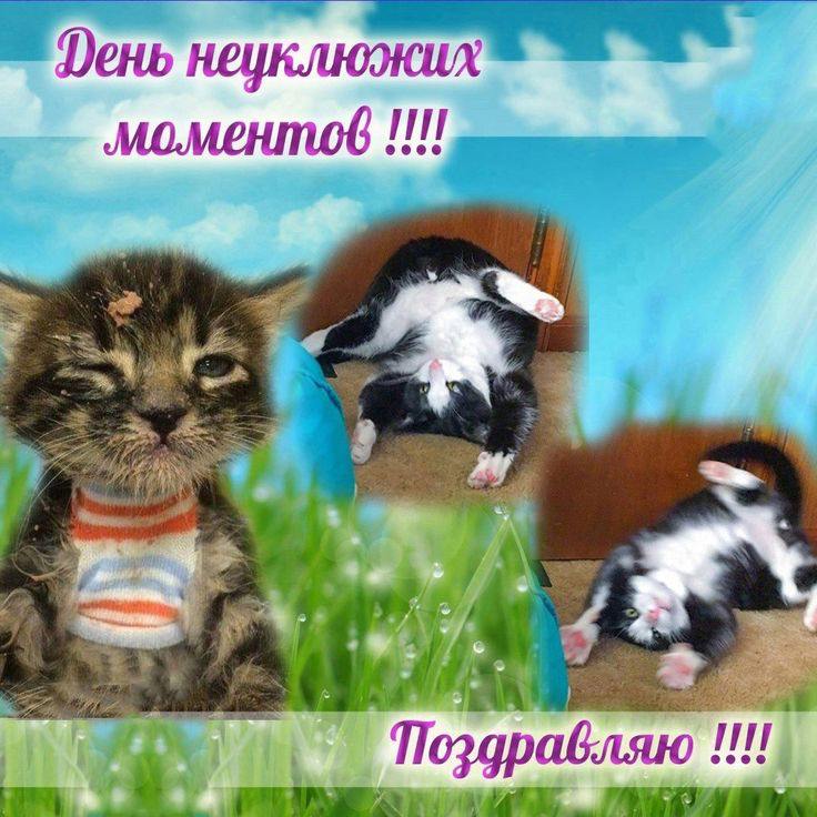 ень неуклюжих моментов 4 5 Поздравляю