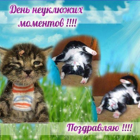 ень неуклюжих моментов 4 5 Поздравляю