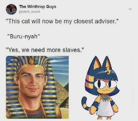 The Winthrop Guys @winth_sneed "This cat will now be my closest adviser.” "Yes, we need more slaves." А Я aS 5.