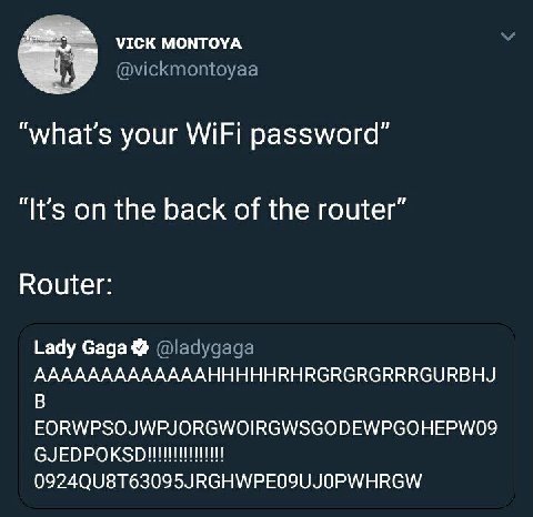VICK MONTOYA @vickmontoyaa “what's your WiFi password” “It’s on the back of the router” Router: Lady Gaga @ladygaga AAAAAAAAAAAAAHHHHHRHRGRGRGRRRGURBHJ EORWPSOJWPJORGWOIRGWSGODEWPGOHEPWO9
