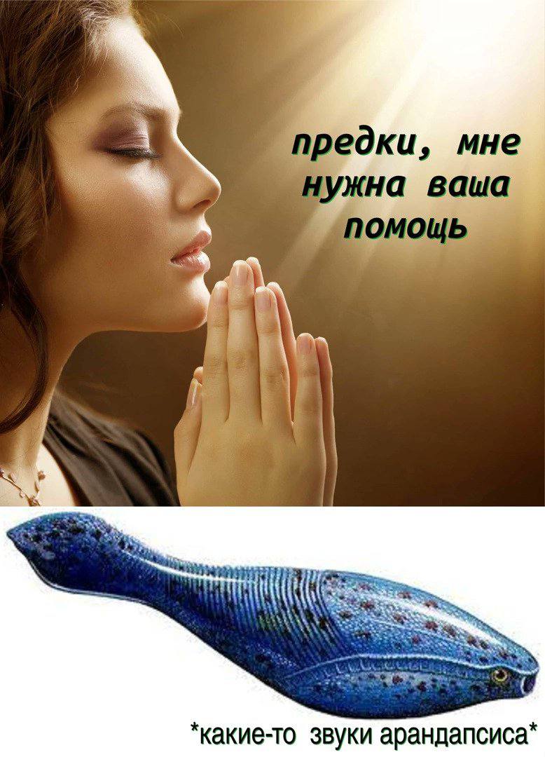 a предки, мне нужна ваша *какие-то звуки