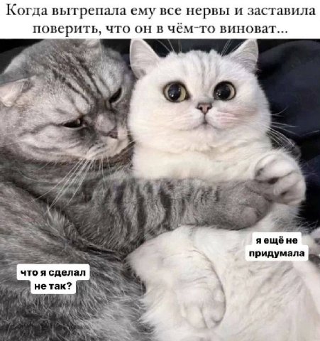 Когда вытрепала ему все нервы и заставила поверить, что он в чём-то виноват... i 2 3 oF aewé He чтоясделал В He TaK? ASS