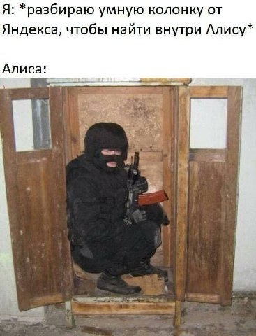 Я: *разбираю умную колонку от Яндекса, чтобы найти внутри Алису* Алиса: a