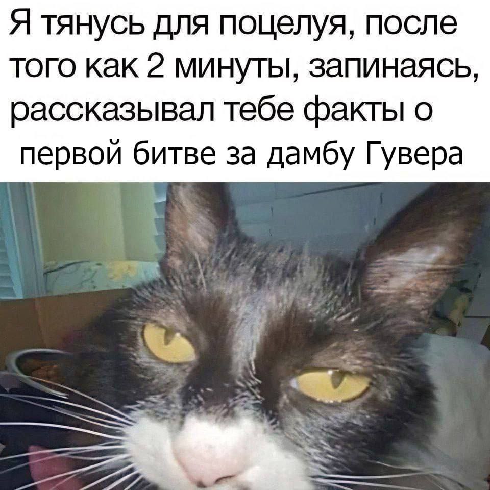 Я тянусь для поцелуя, после того как 2 минуты, запинаясь, рассказывал тебе факты о первой битве за дамбу Гувера