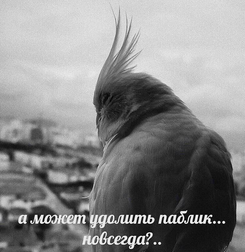 ify 1 35 Я А 7 57; $9 7: 47 A $i Soy, a 85 У Я we <2, а может удолить паблик...