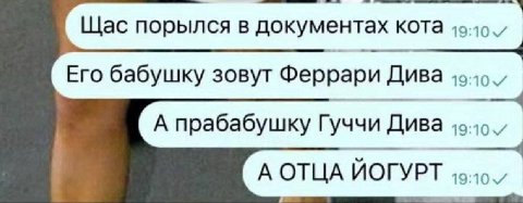 Щас порылся в документах кота Его бабушку зовут Феррари Дива А прабабушку Гуччи Дива А ОТЦА ЙОГУРТ