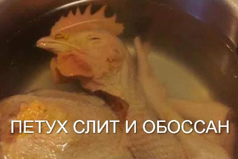 ПЕТУХ СЛИТ И ОБОССАН
