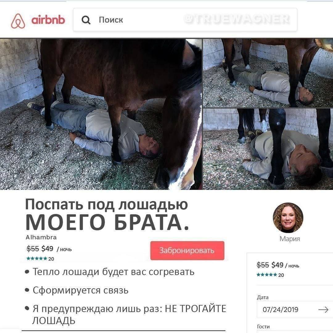 airbnb поик И Поспать под лошадью МОЕГО БРАТА. Alhambra Mapua $55 $49 /ночь Забронировать 20 $55 $49 /ночь Тепло лошади будет вас согревать Сформируется связь Дата Я предупреждаю лишь раз: НЕ ТРОГАЙТЕ