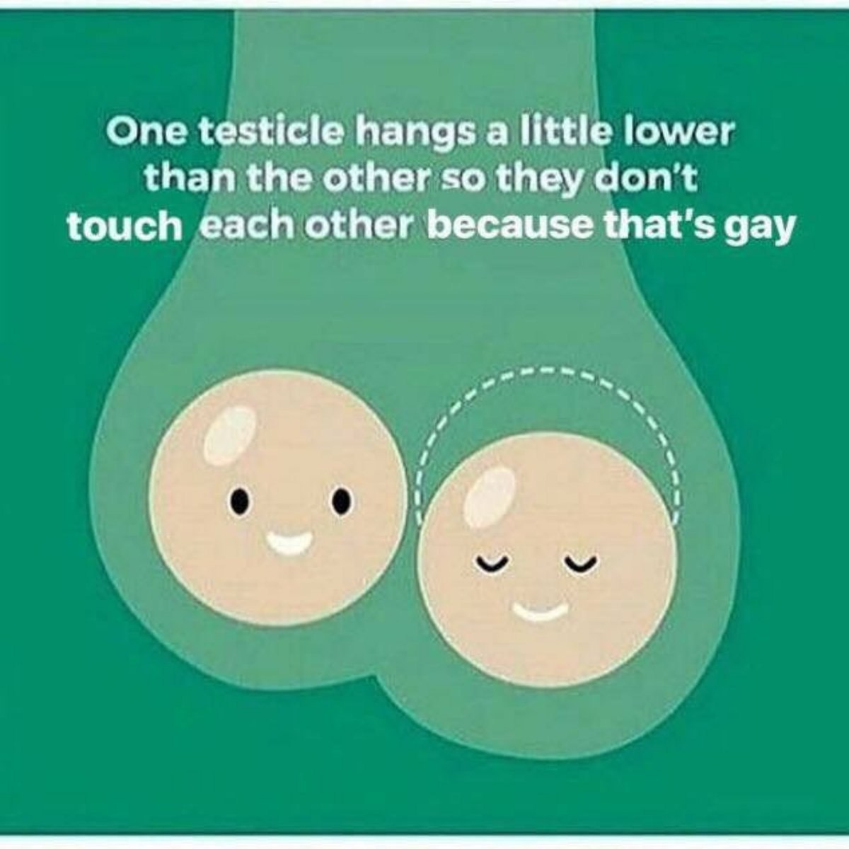 One testicle hangs а little lower than the other so they don't touch each other because that's gay